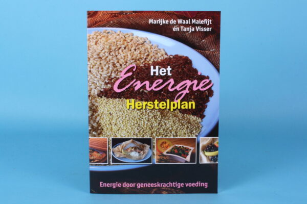 20161199 – Het Energie Herstelplan