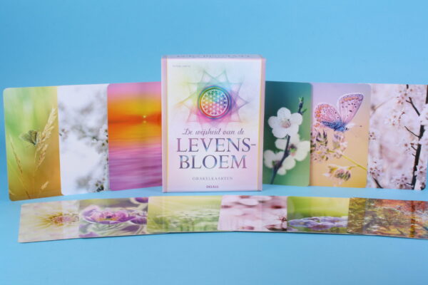 20161442 – De Wijsheid van de Levensbloem