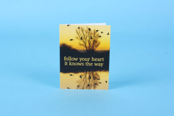 20161560 – Follow your heart …
