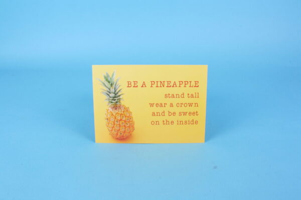 20161962 – Be a pineapple …