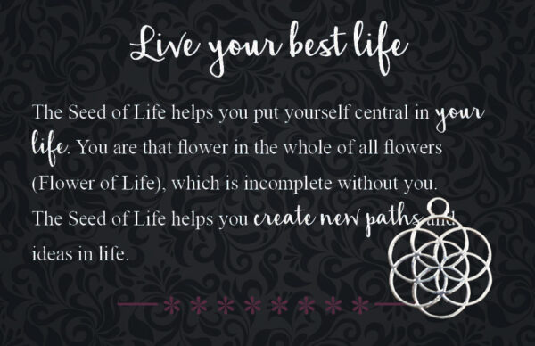 20162593 – Seed of life – Live your best life