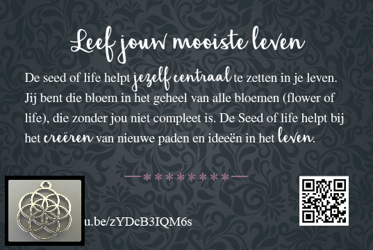 20172613 – 22 Seed of lifesymbooltje