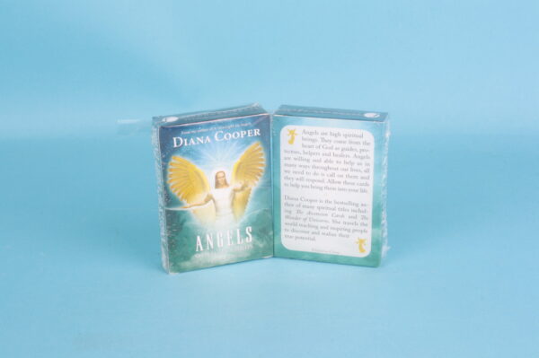 20172628 – Angels of Light cards