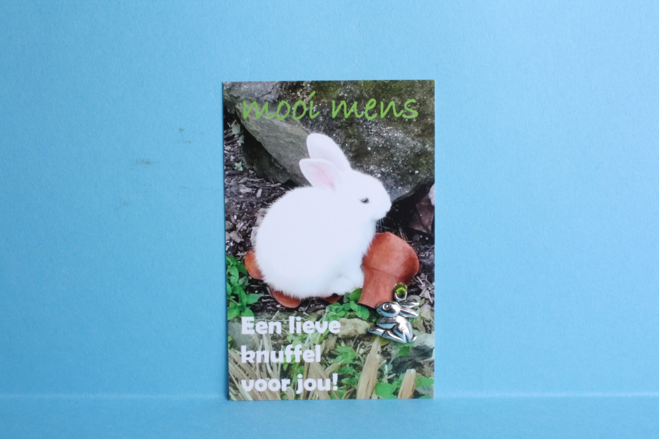 945 Agnes Gray afschaffen 140110 - Mooi Mens - Een lieve knuffel voor jou! - Joskes WinkelJoskes Winkel 945 Agnes Gray afschaffen 140110 - Mooi Mens - Een lieve knuffel voor jou! - Joskes WinkelJoskes Winkel