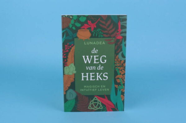 20173037 – De weg van de Heks