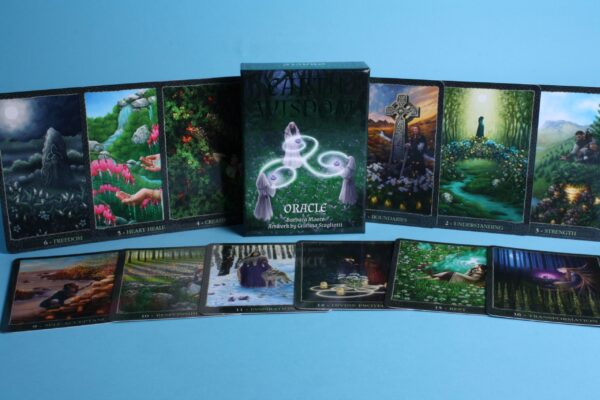 20173261 – Earth Wisdom oracle