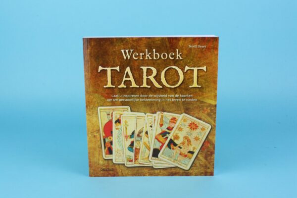 20173309 – Werkboek Tarot