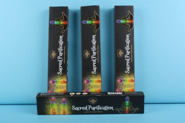 20173314 – Sacred Purification