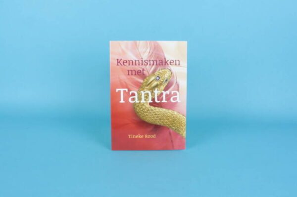 20173349 – Kennismaken met Tantra