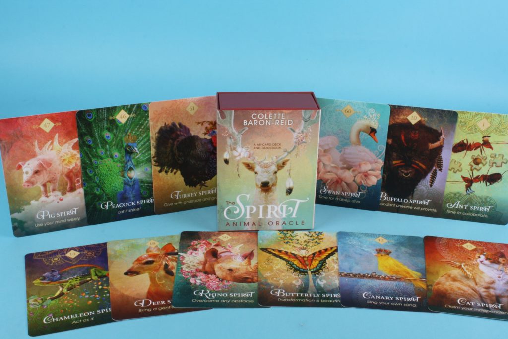 Colette Baron-Reid - The Spirit animal oracle - Joskes WinkelJoskes Winkel Colette Baron-Reid - The Spirit animal oracle - Joskes WinkelJoskes Winkel