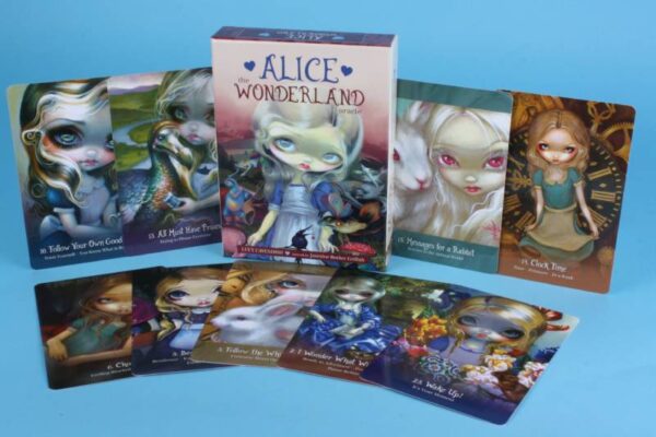 20193641 – Alice the Wonderland oracle