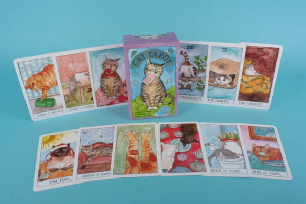 20203729 – Cat tarot