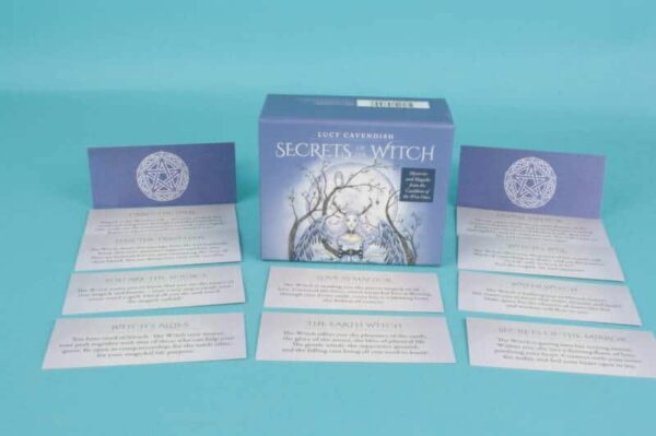 20213805 – Secret of the Witch kaarten