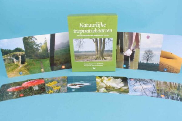 20213813 – Natuurlijke Inzichtkaarten