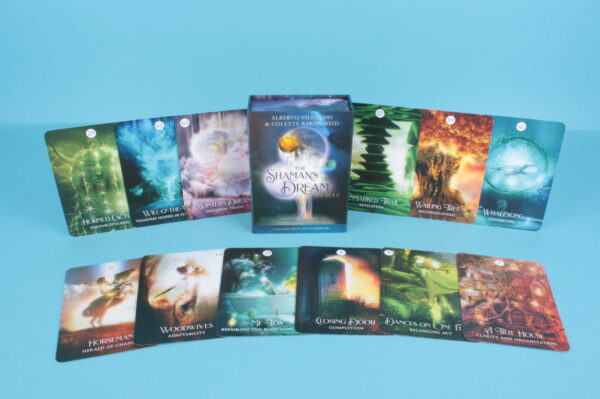 20213868 – The Shaman’s Dream Oracle