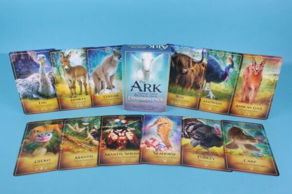 20223995 – The Ark Expansion deck
