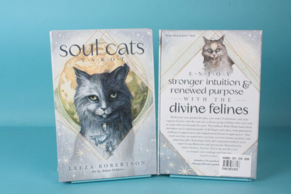 20234045 – Soul Cats tarot