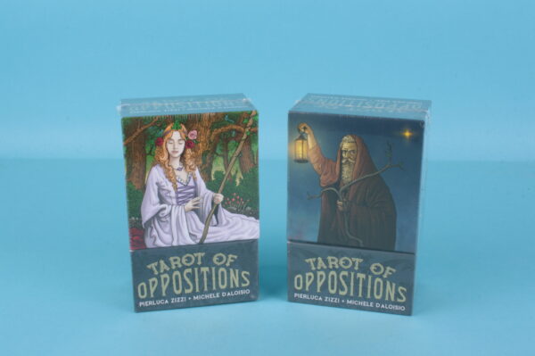 20234079 – Tarot of Oppositions